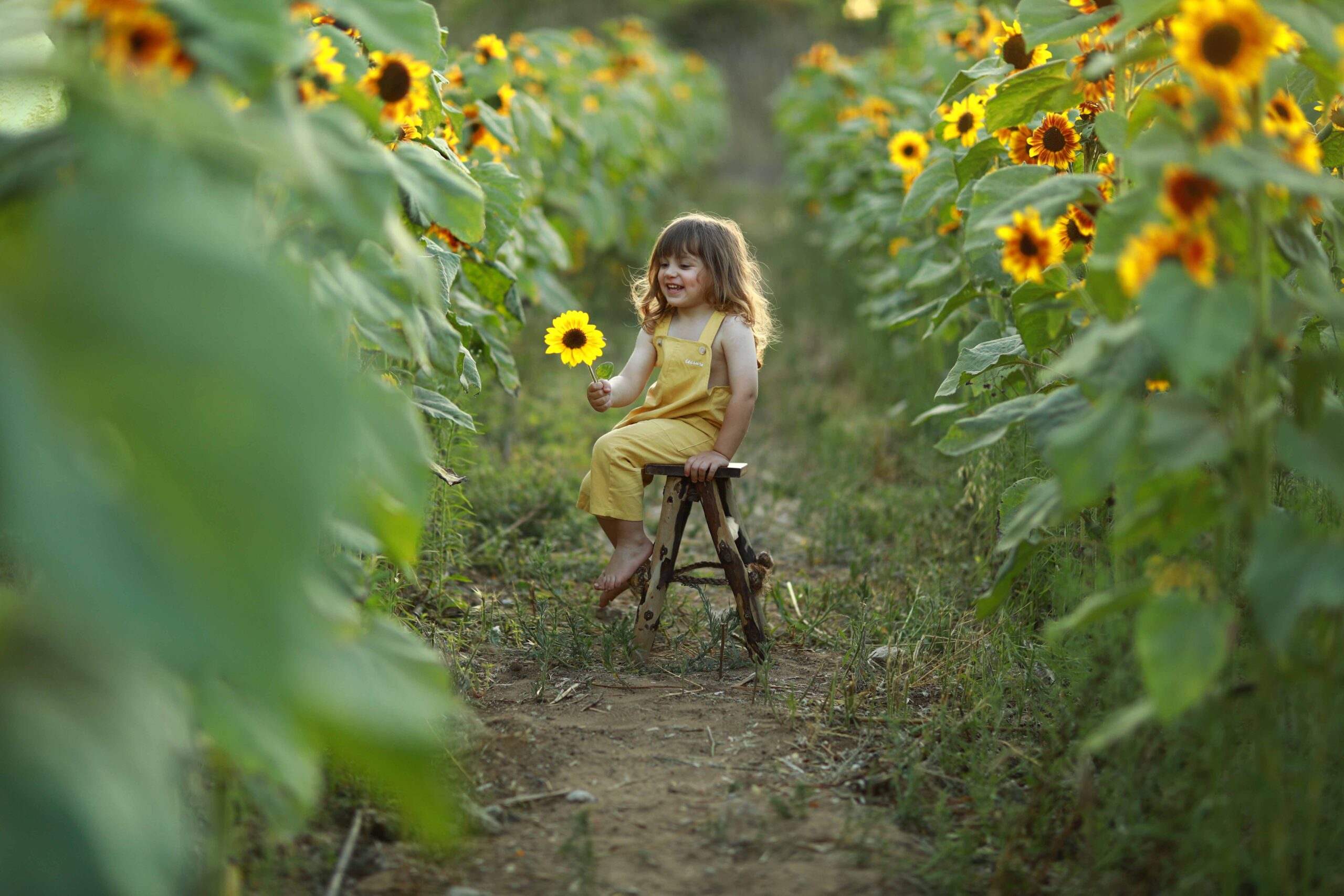 לפנייייייי