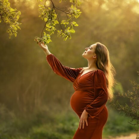 היער הקסום עריכת פוטושופ היער הקסום עריכת פוטושופ