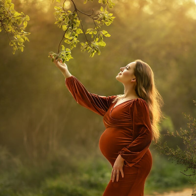 היער הקסום - שיעור פוטושופ (מתנה עם כל רכישה מברשת קרני שמש מדהימה שתוסיף אור וחיים לכל תמונה)