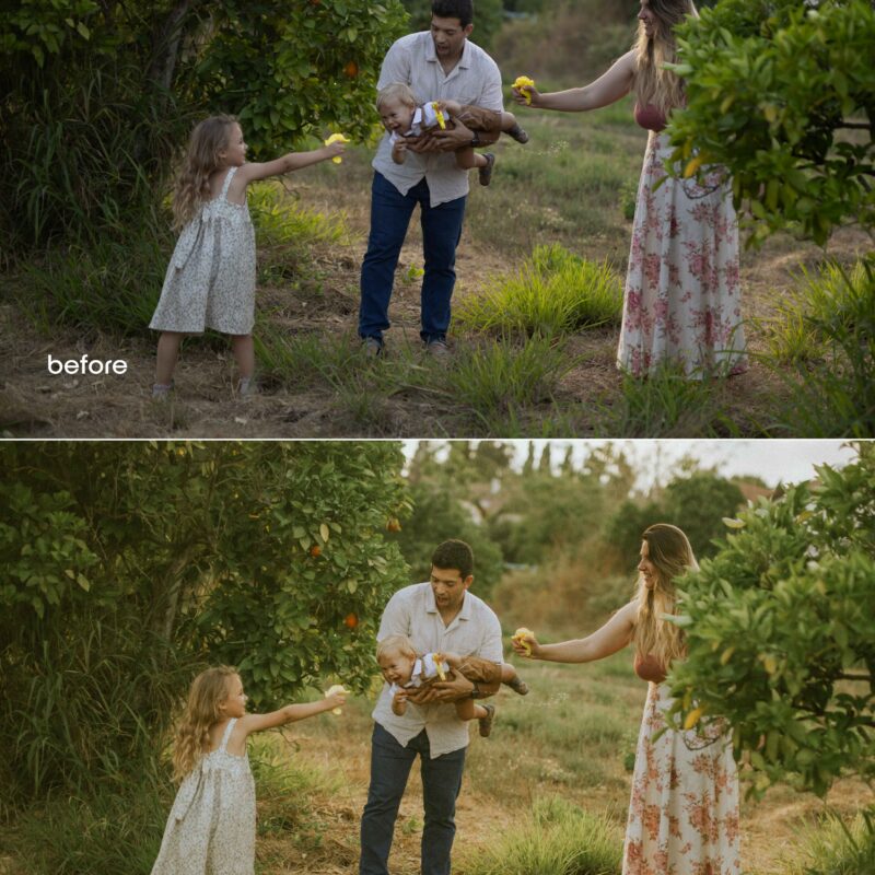 Green Watercolor Instagram Story Background (1920 x 1080 px) (1980 x 750 px) (1980 x 750 px) (1980 x 800 px) (1980 x 850 px) (5 x 2 in) (3 x 2 in) (5 x 3 in) (8 x 10 in) (8 x 10 in) (8 x 5 in) (8