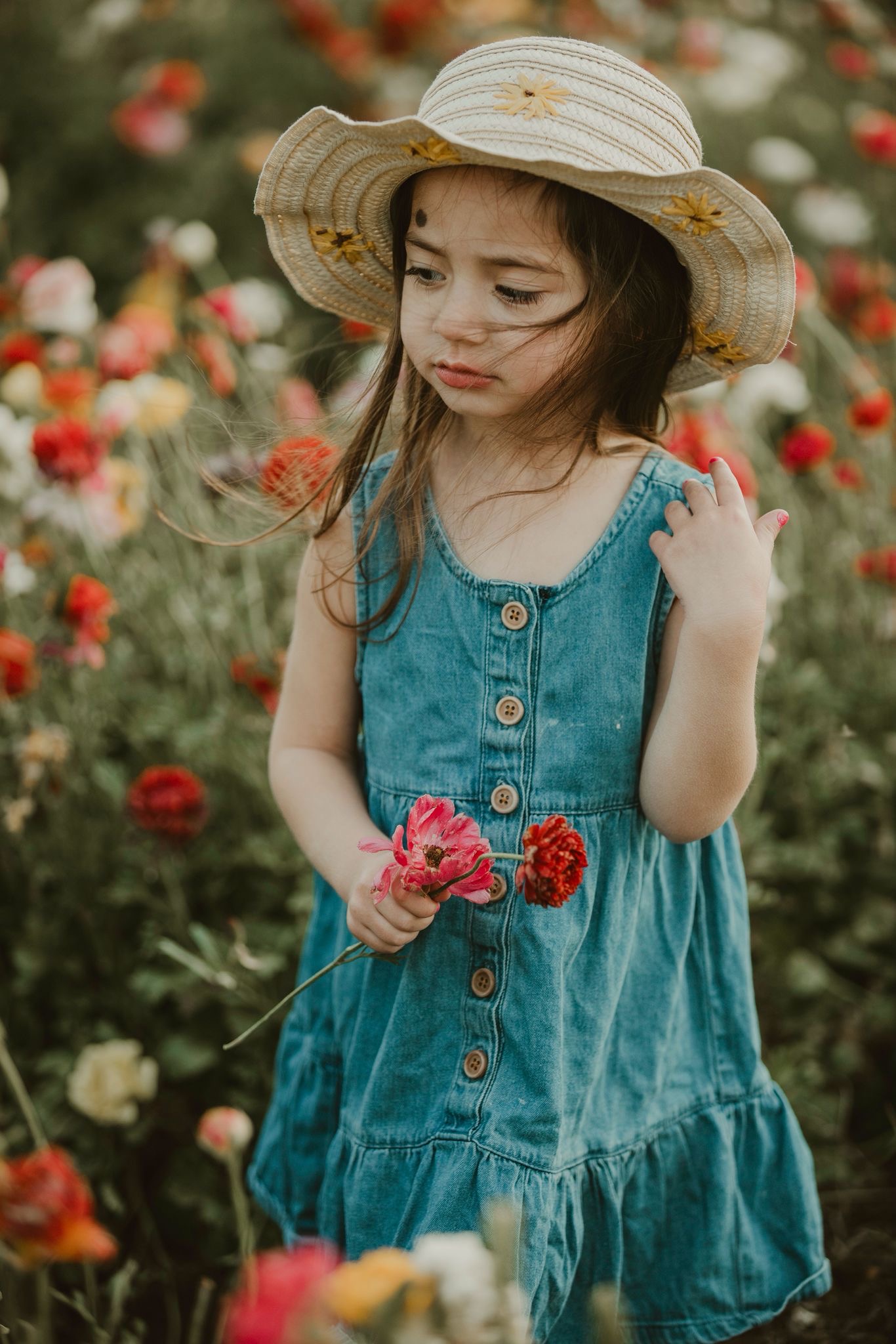 d7e4d9ce-df18-4413-bb7b-6c8e461e364b